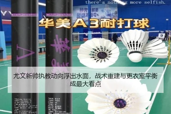 尤文新帅执教动向浮出水面，战术重建与更衣室平衡成最大看点（liuhecai）